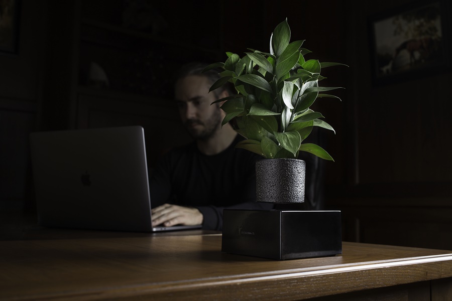 levitating plant man